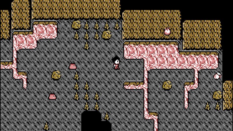 Datei:Paracreat S04.jpg